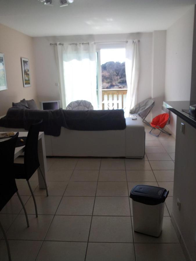 Chambre Grand Appartement 페르피냥 외부 사진